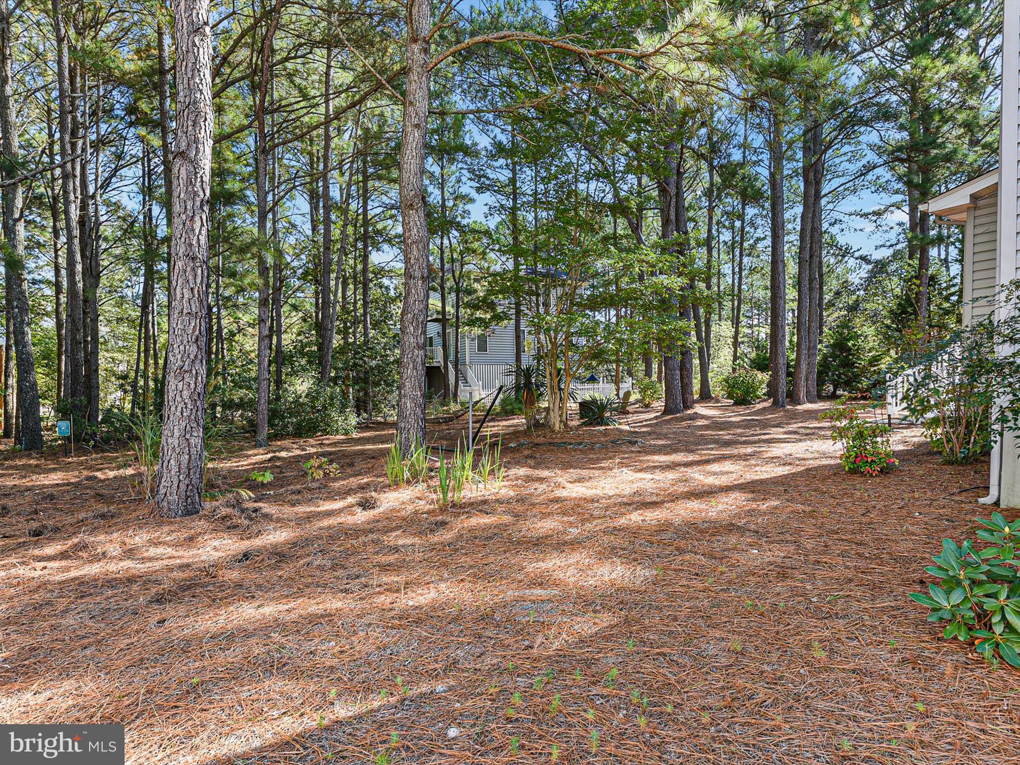541 Bethany Loop
