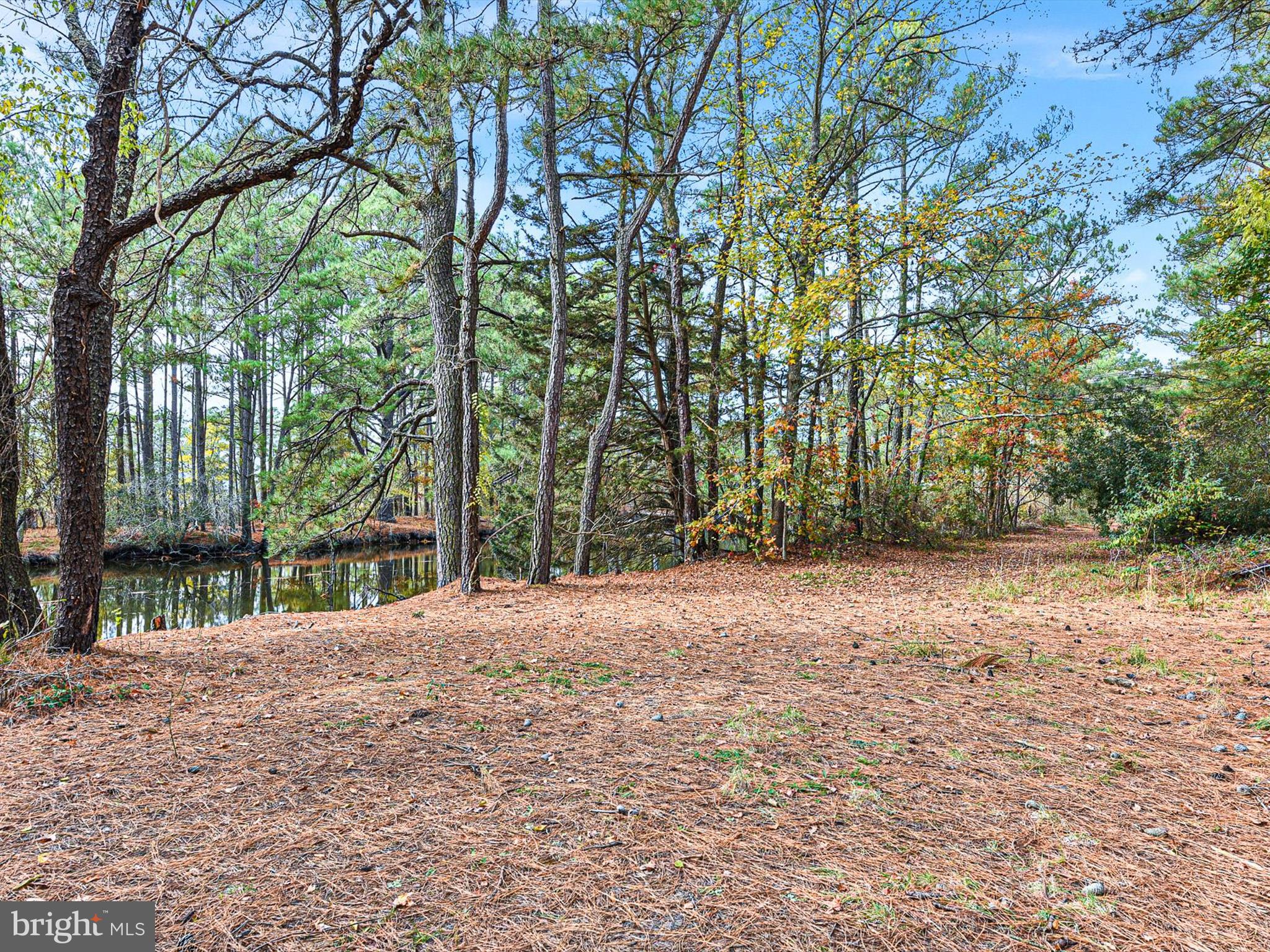 603 Cape Eleuthra Rd #72