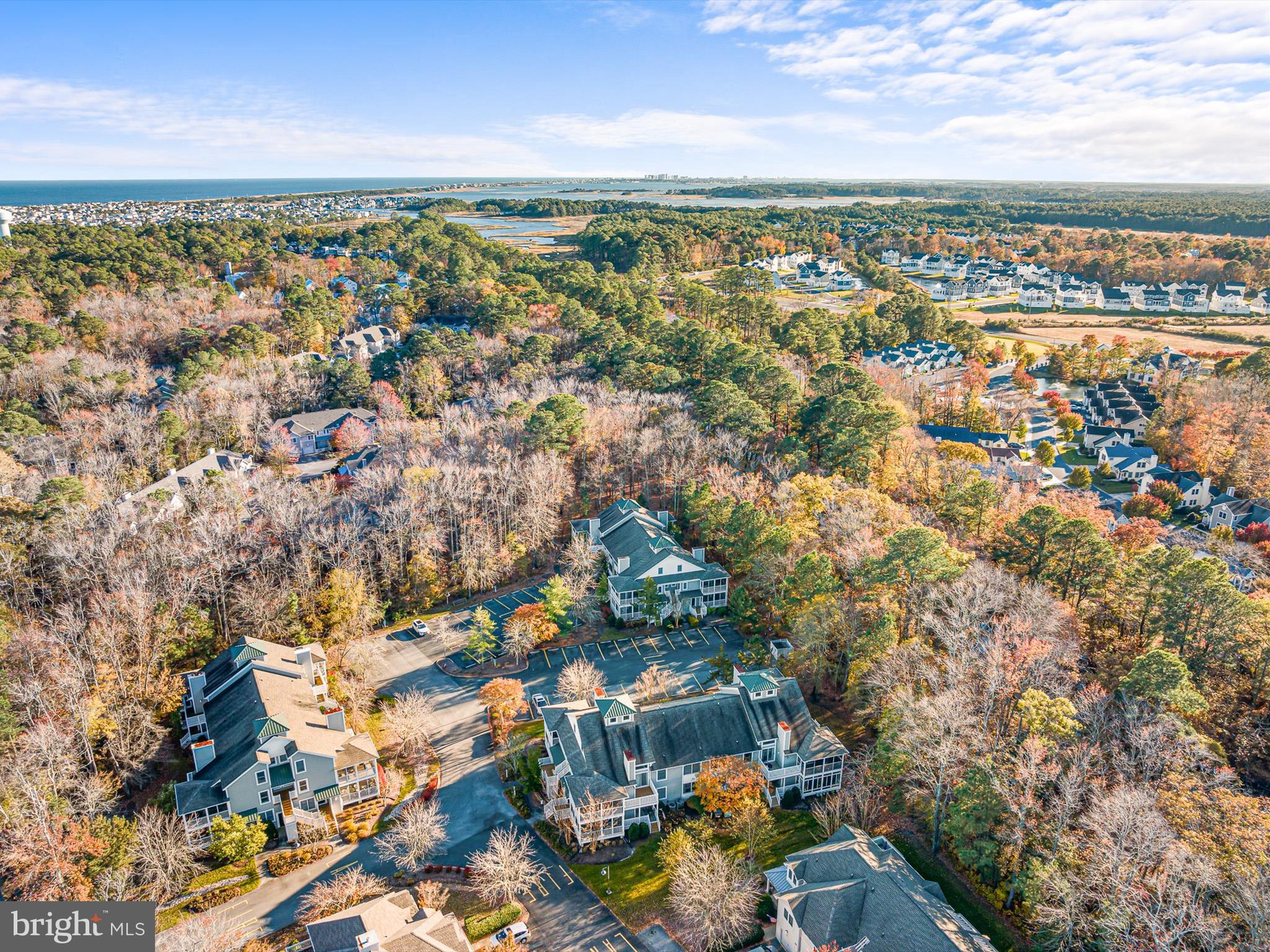 33486 Canal Ct #52022