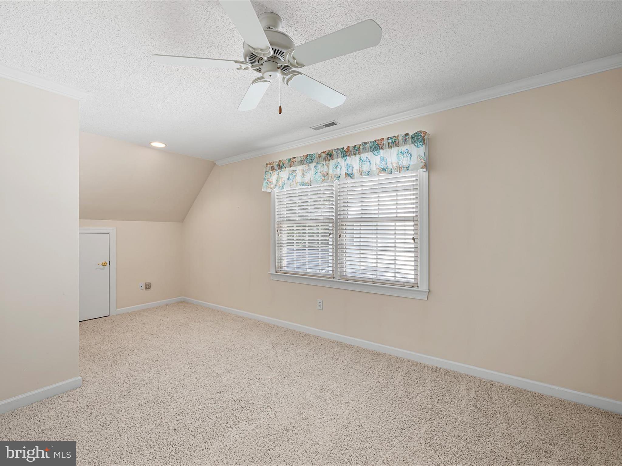 715 Fox Tail Dr