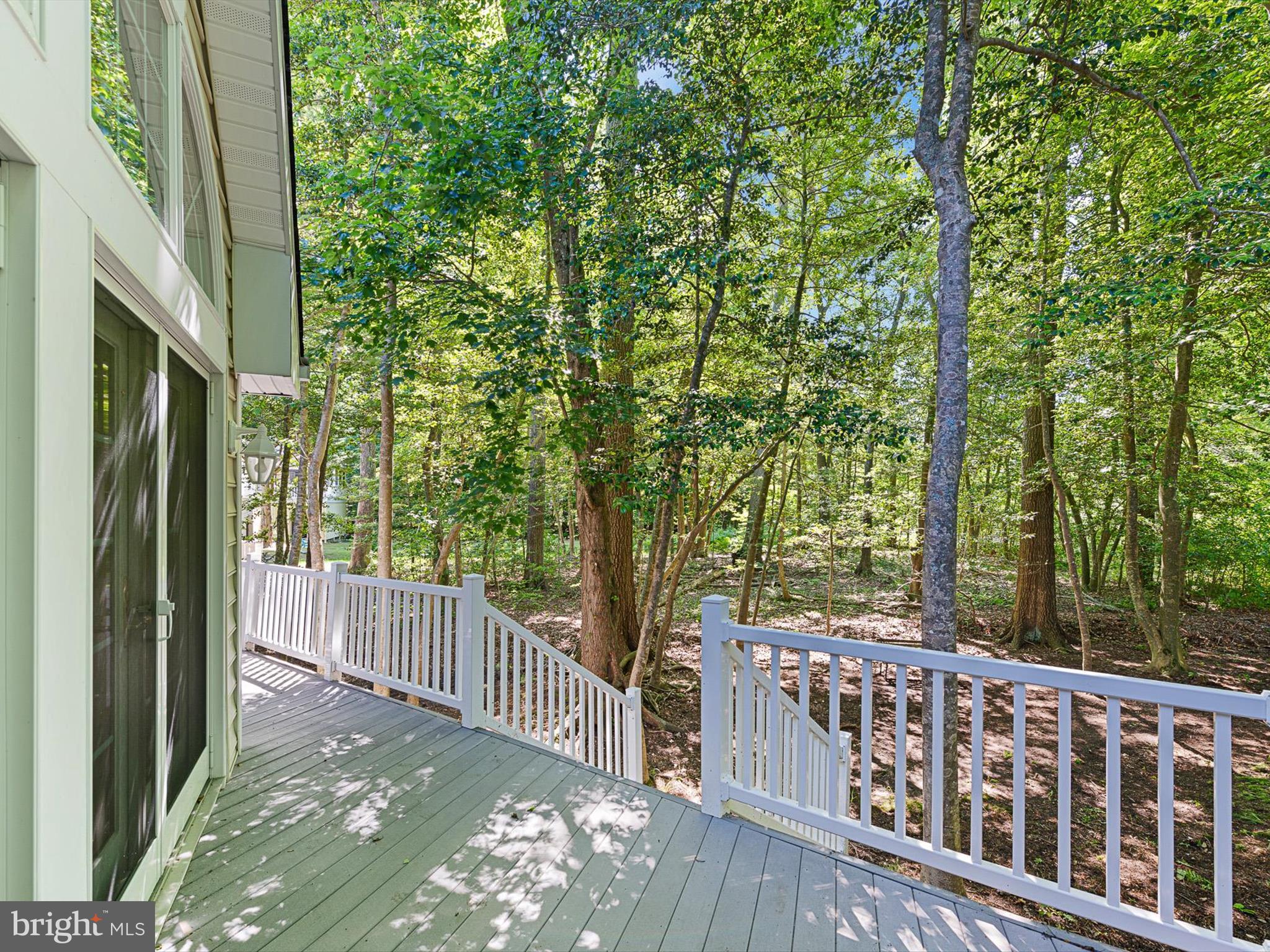 715 Fox Tail Dr