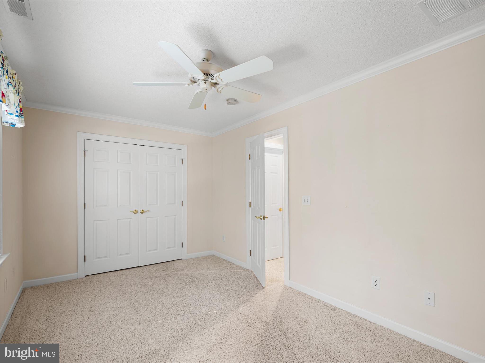 715 Fox Tail Dr