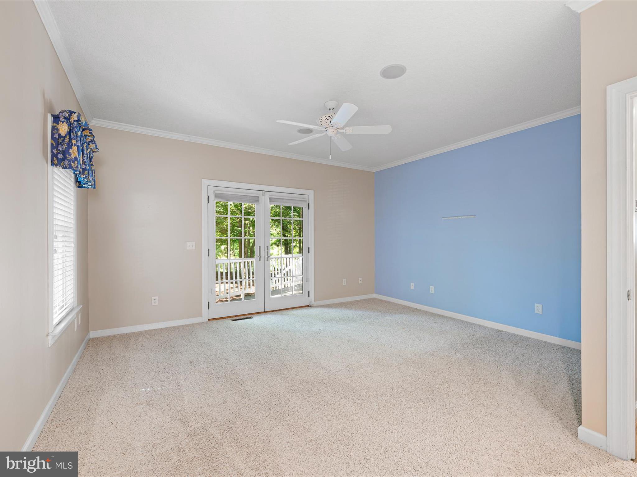 715 Fox Tail Dr