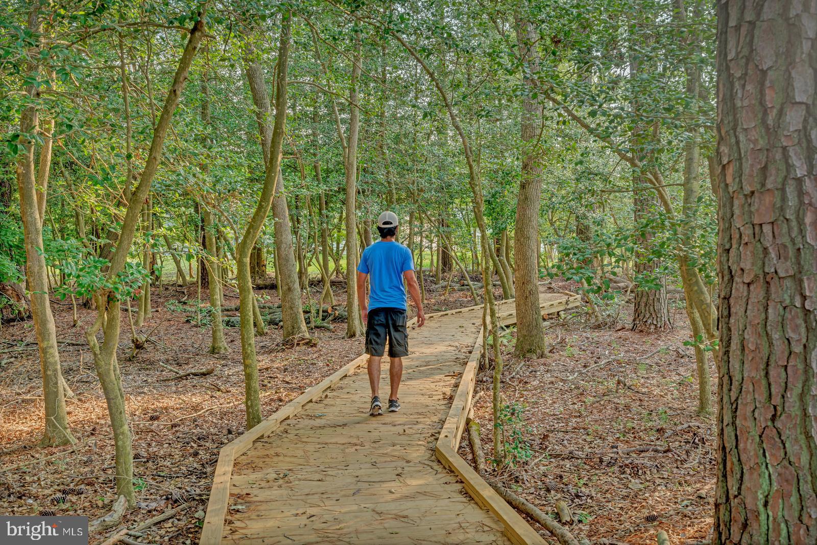 33139 Sea Lions Ct #605