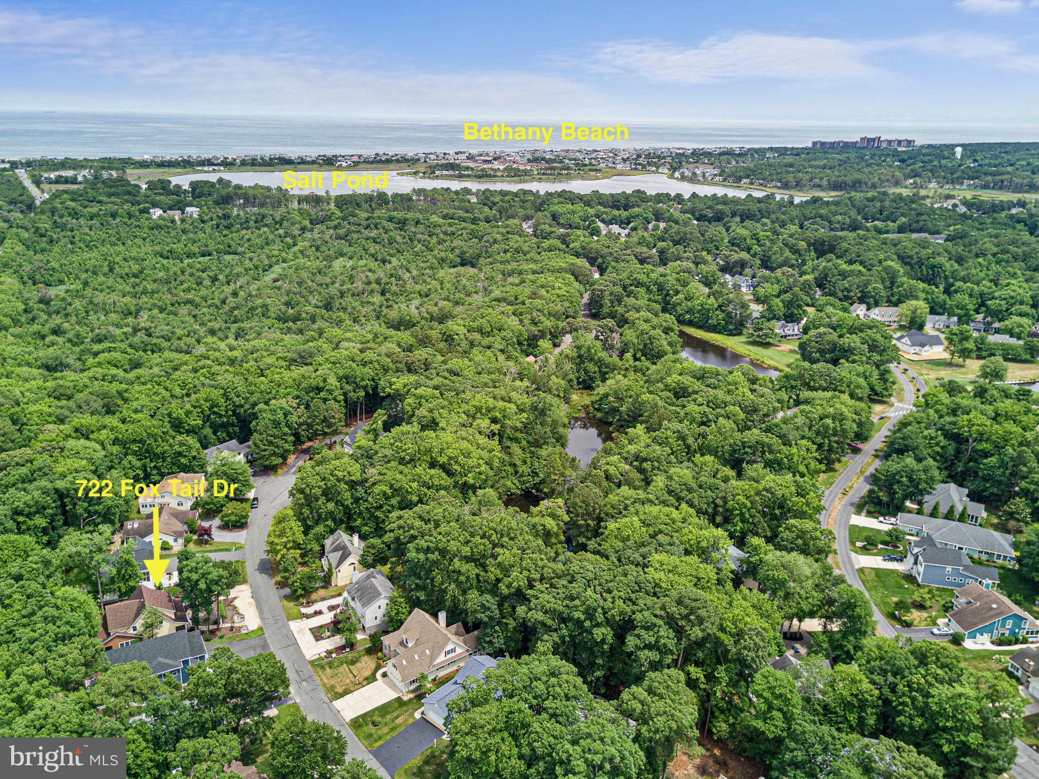 722 Fox Tail Dr