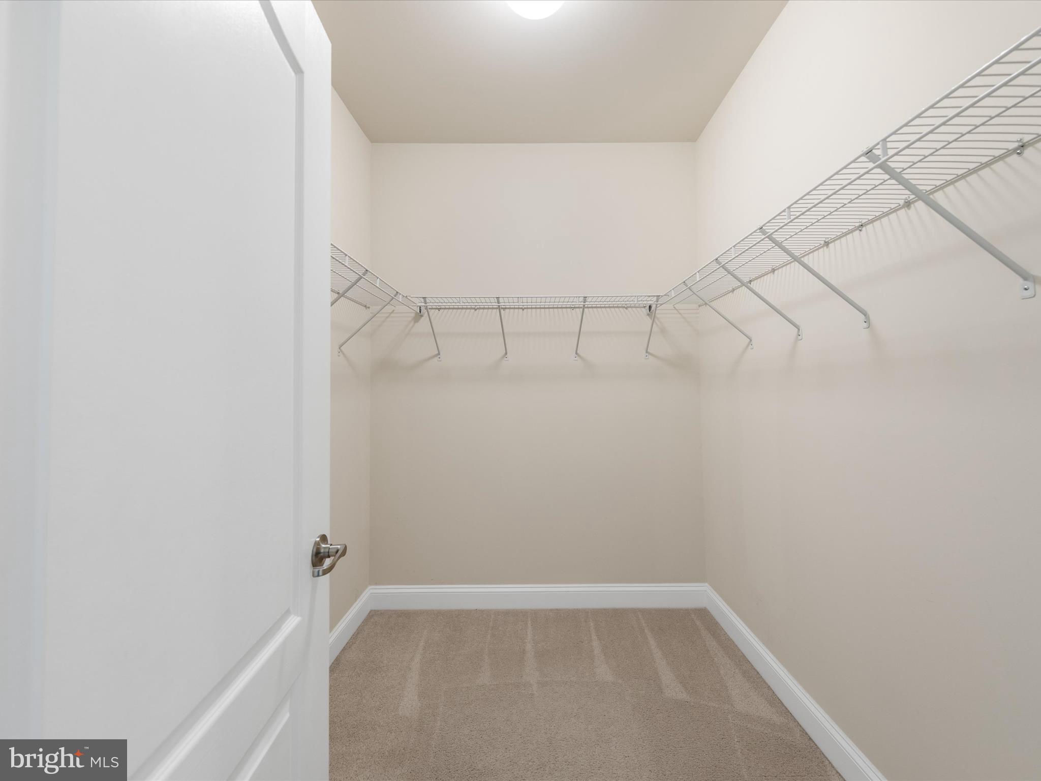 33339 Curran Ct