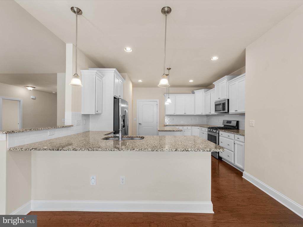 33339 Curran Ct
