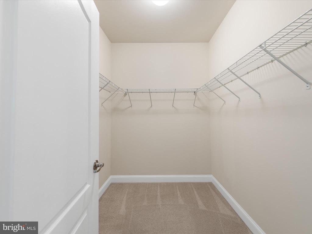 33339 Curran Ct