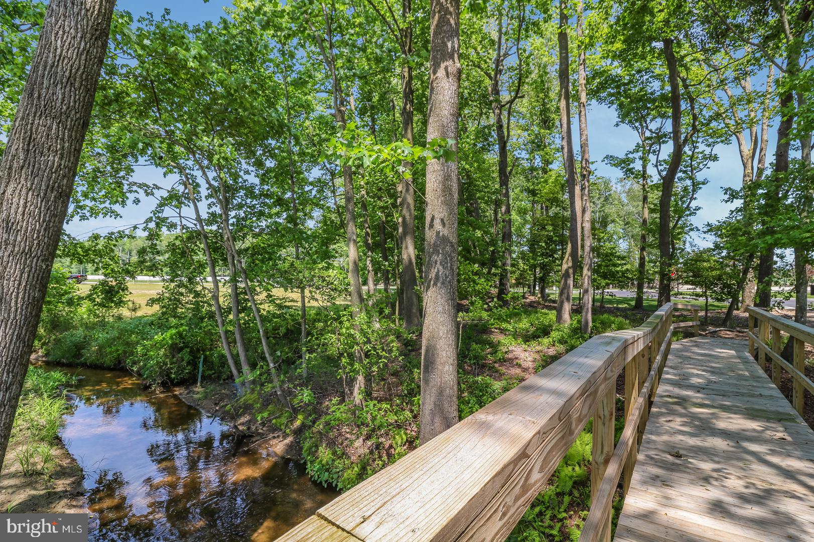 33100 Lilly Pad Ln #591