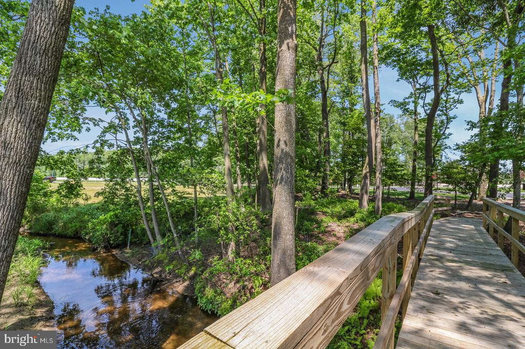 33100 Lilly Pad Ln #591