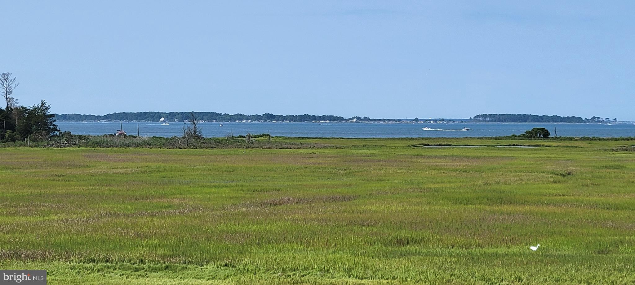 37189 Harbor Dr #3504