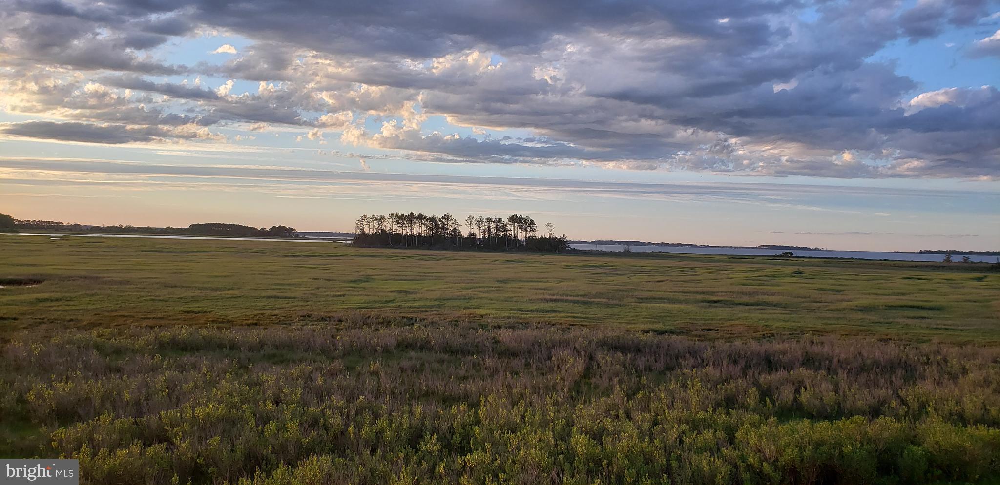 37189 Harbor Dr #3504