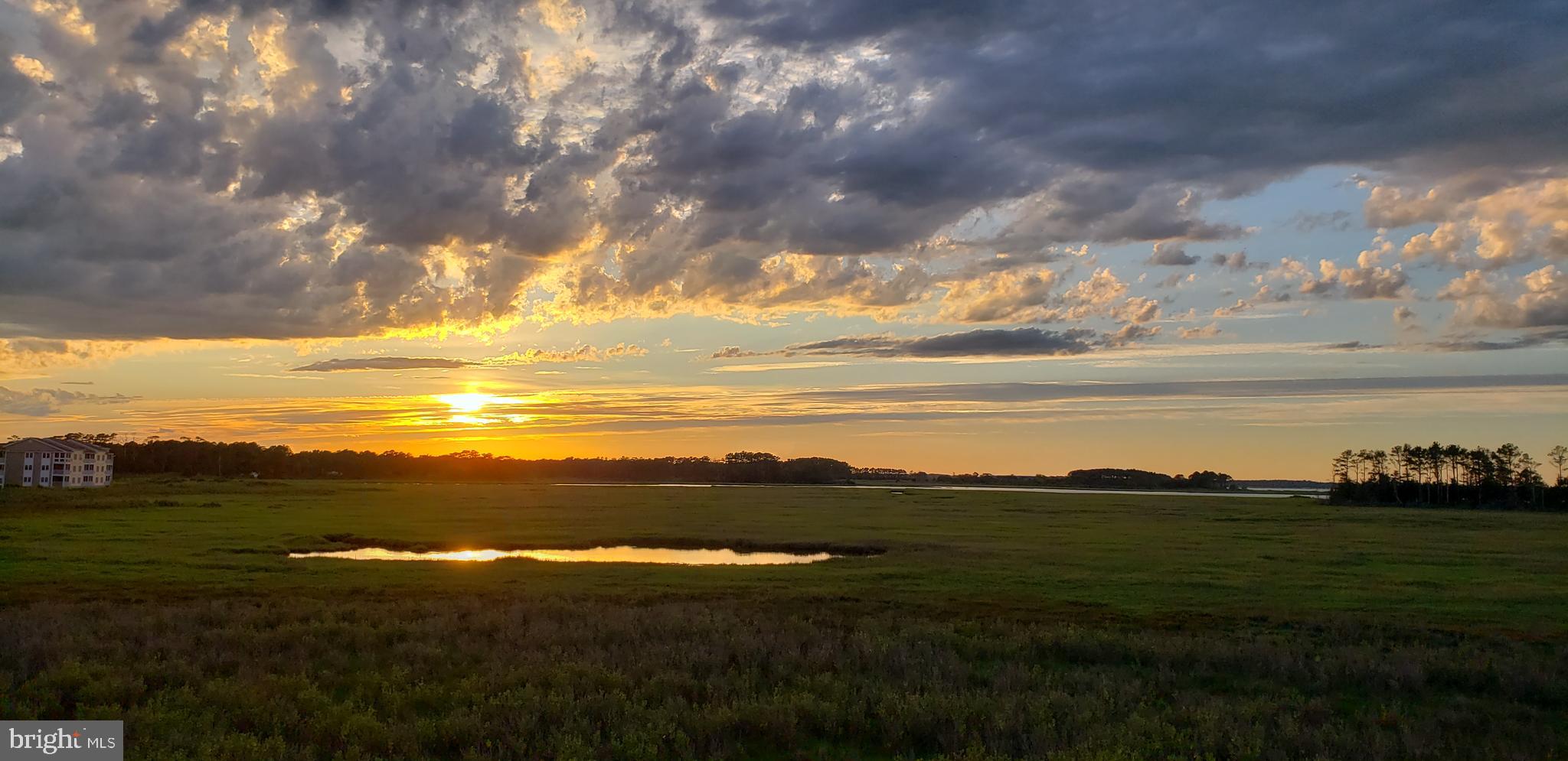 37189 Harbor Dr #3504