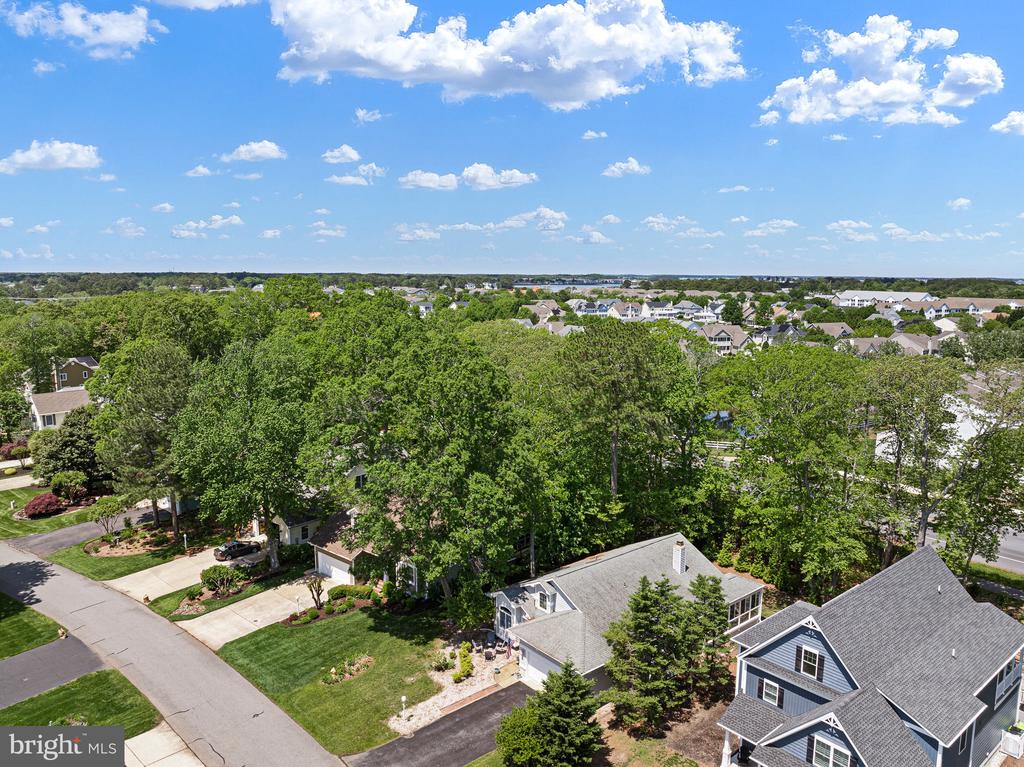 718 Fox Tail Dr