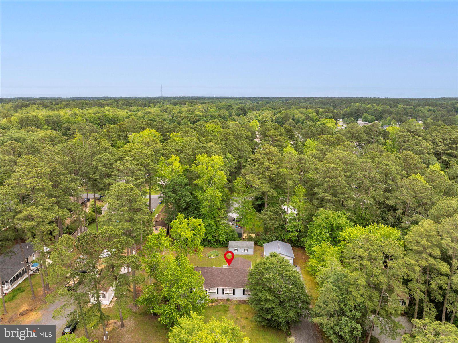 34521 Tennessee Drive