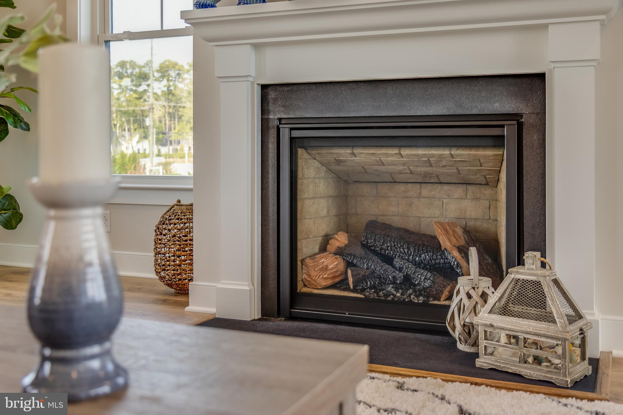 30461 BLUE BEECH LANE