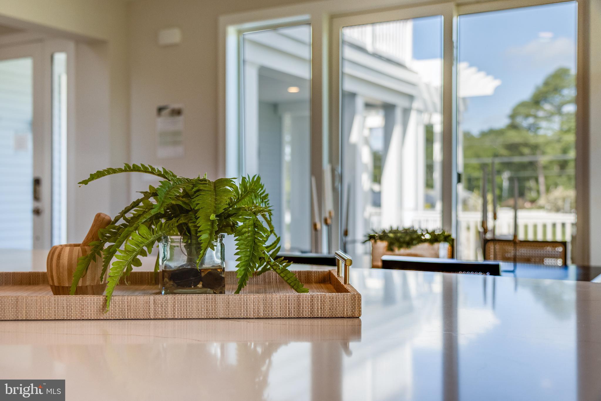 30461 BLUE BEECH LANE