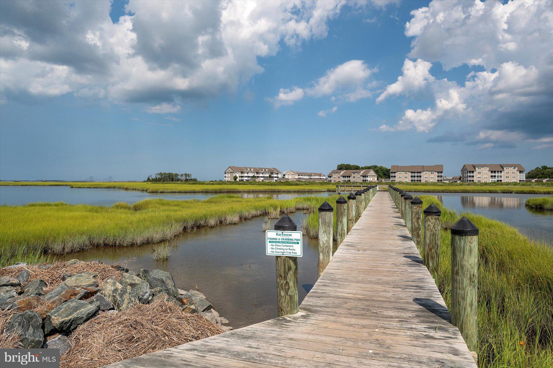 36041 INDIGO BUNTING COURT