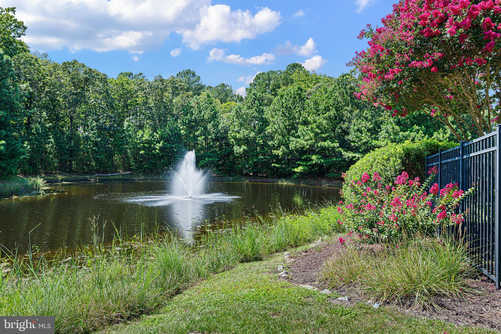 29073 ELLIS POINT COURT 46