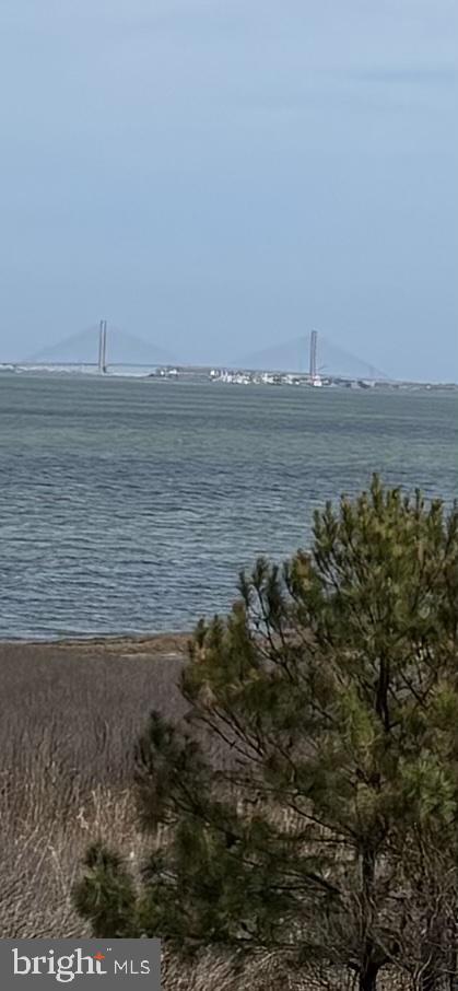 29073 ELLIS POINT COURT 46