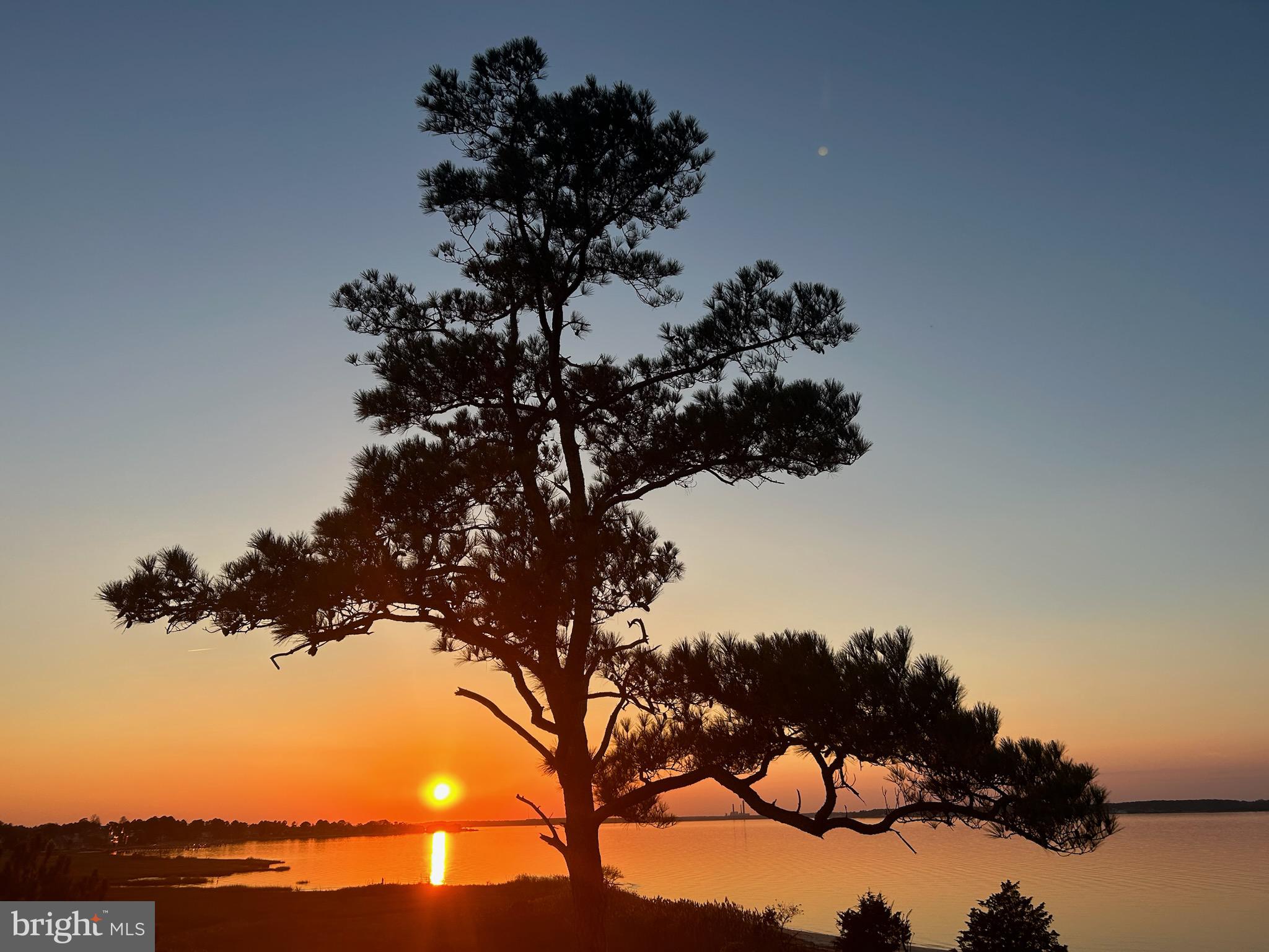 29073 ELLIS POINT COURT 46