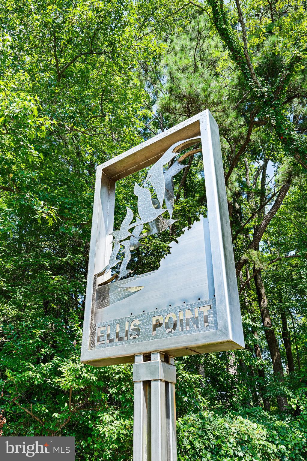 29073 ELLIS POINT COURT 46