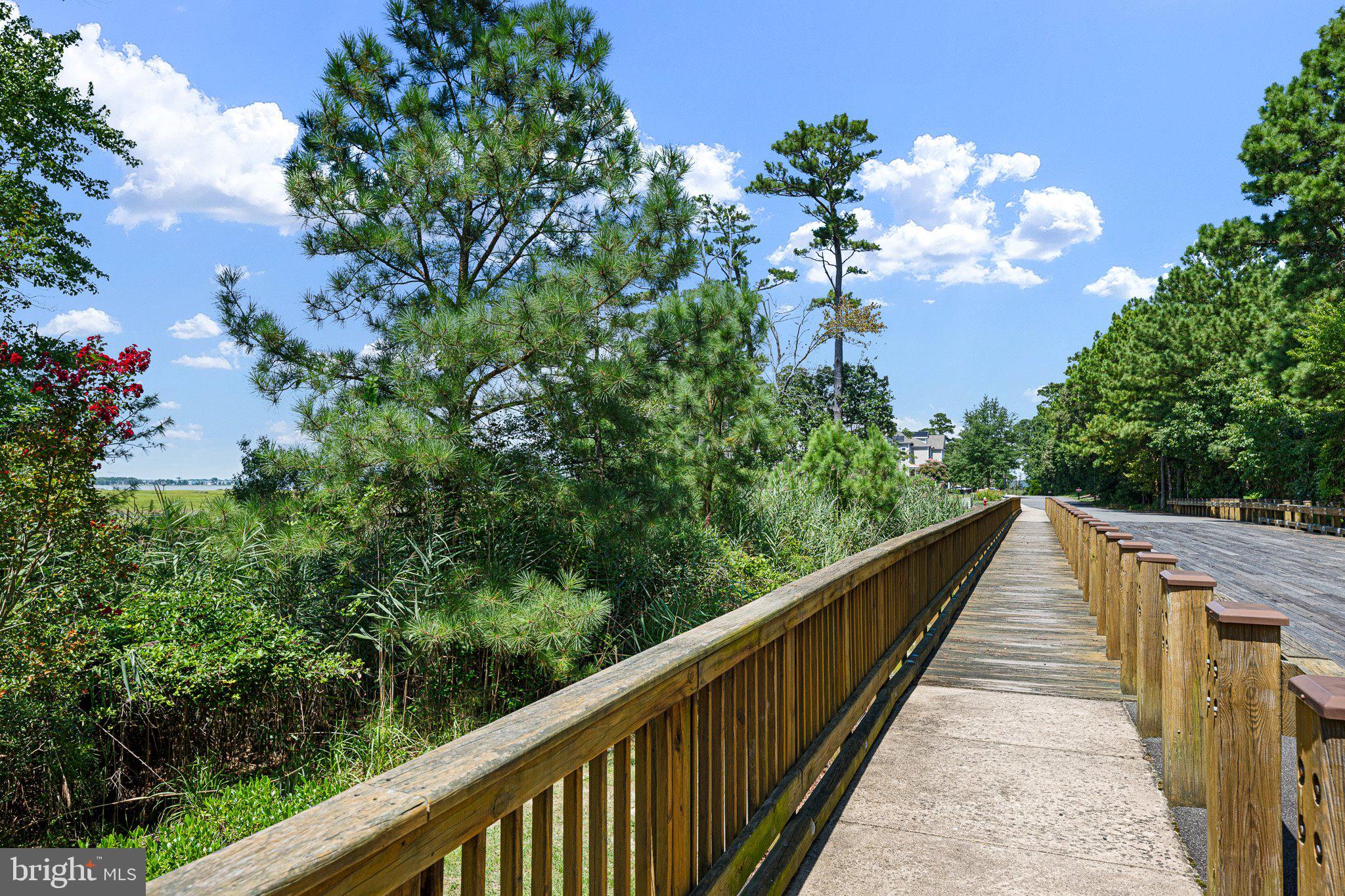 29073 ELLIS POINT COURT 46