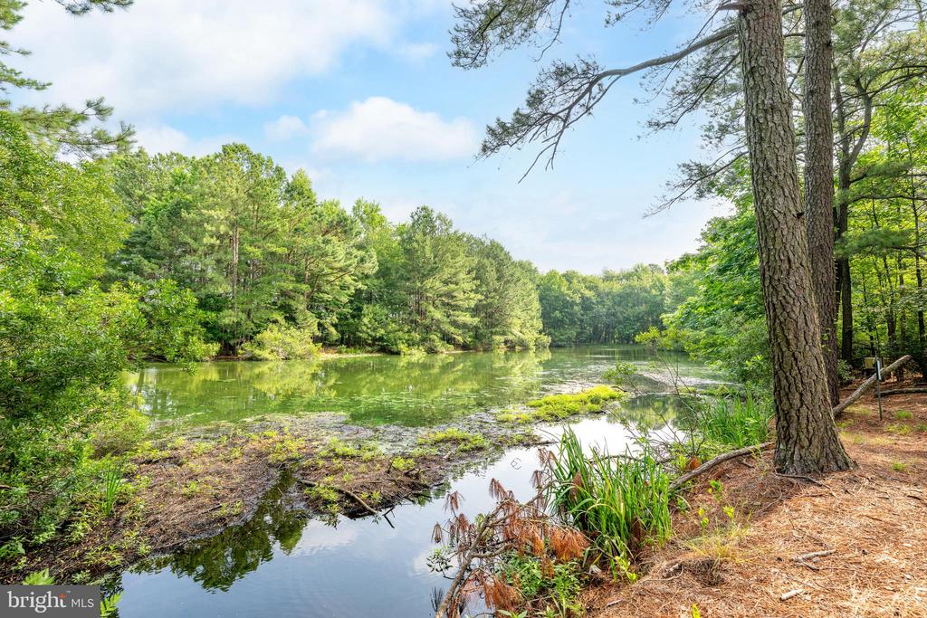 38489 MAINSAIL DRIVE Unit: 22