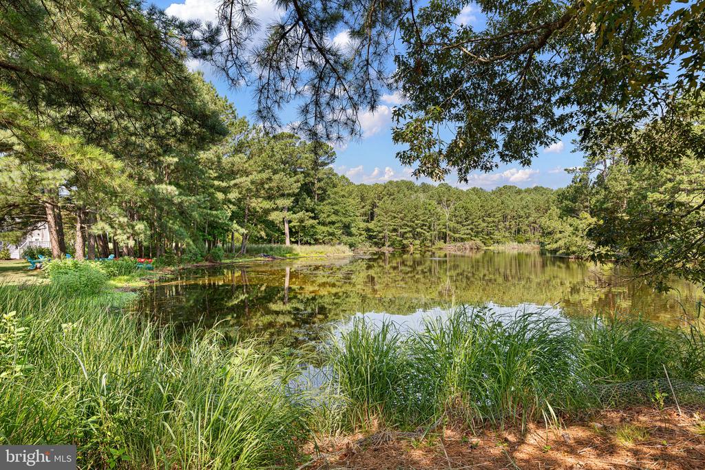 486 BETHANY LOOP