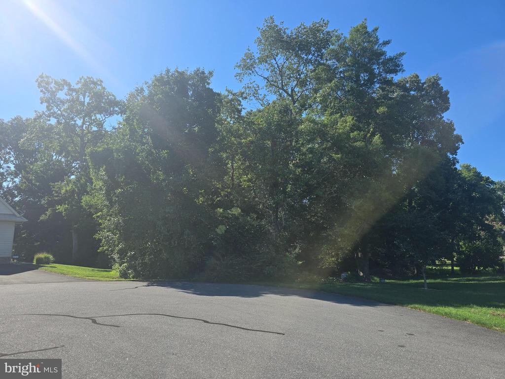 SAWTOOTH Unit: LOT 40
