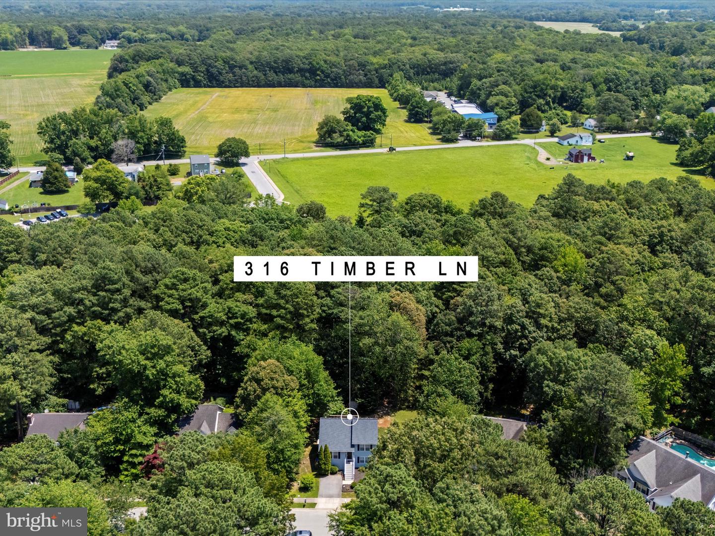 316 Timber Ln