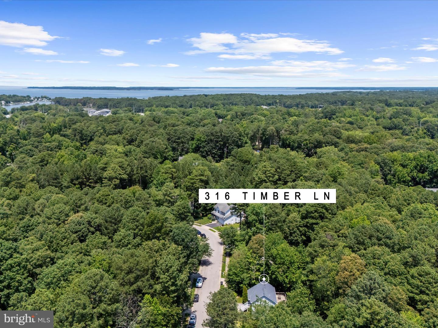 316 Timber Ln