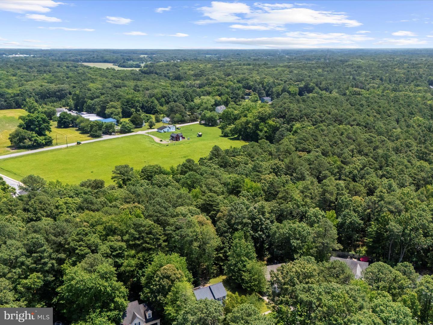 316 Timber Ln