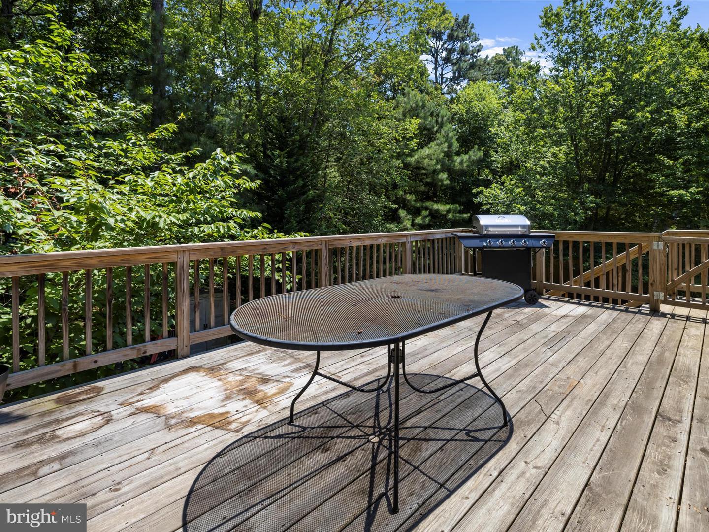 316 Timber Ln