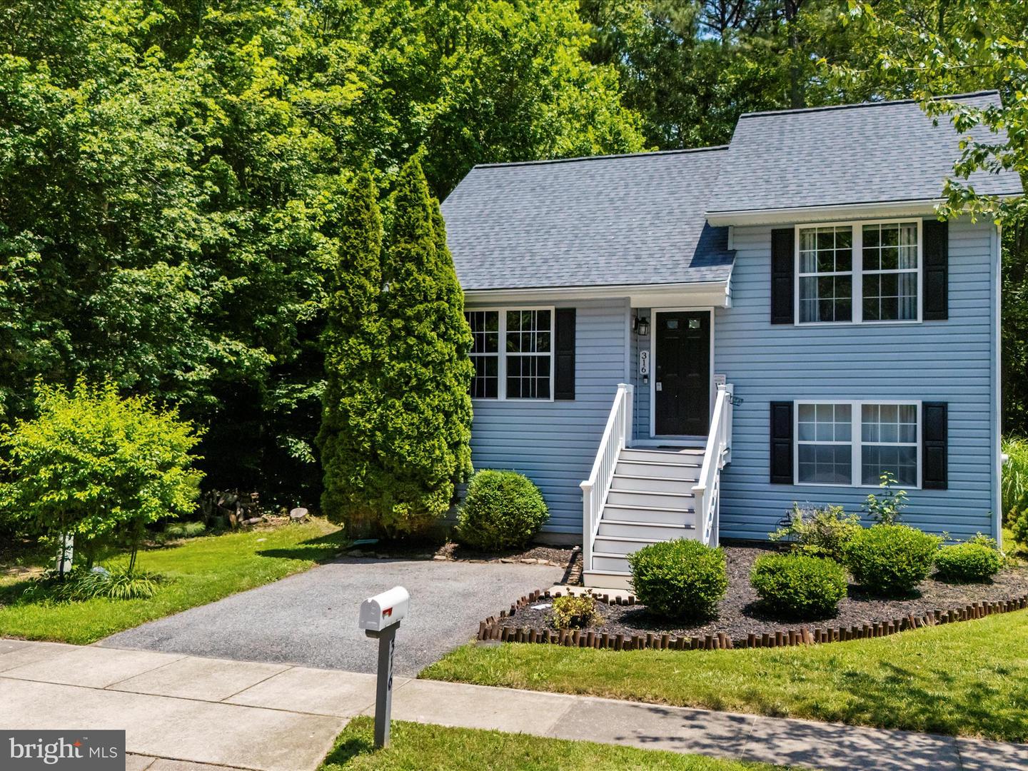 316 Timber Ln
