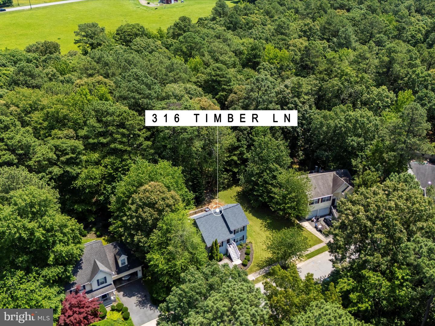 316 Timber Ln