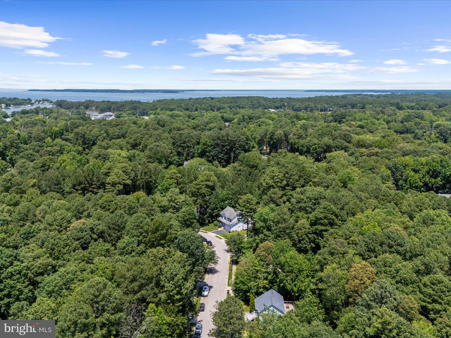 316 Timber Ln