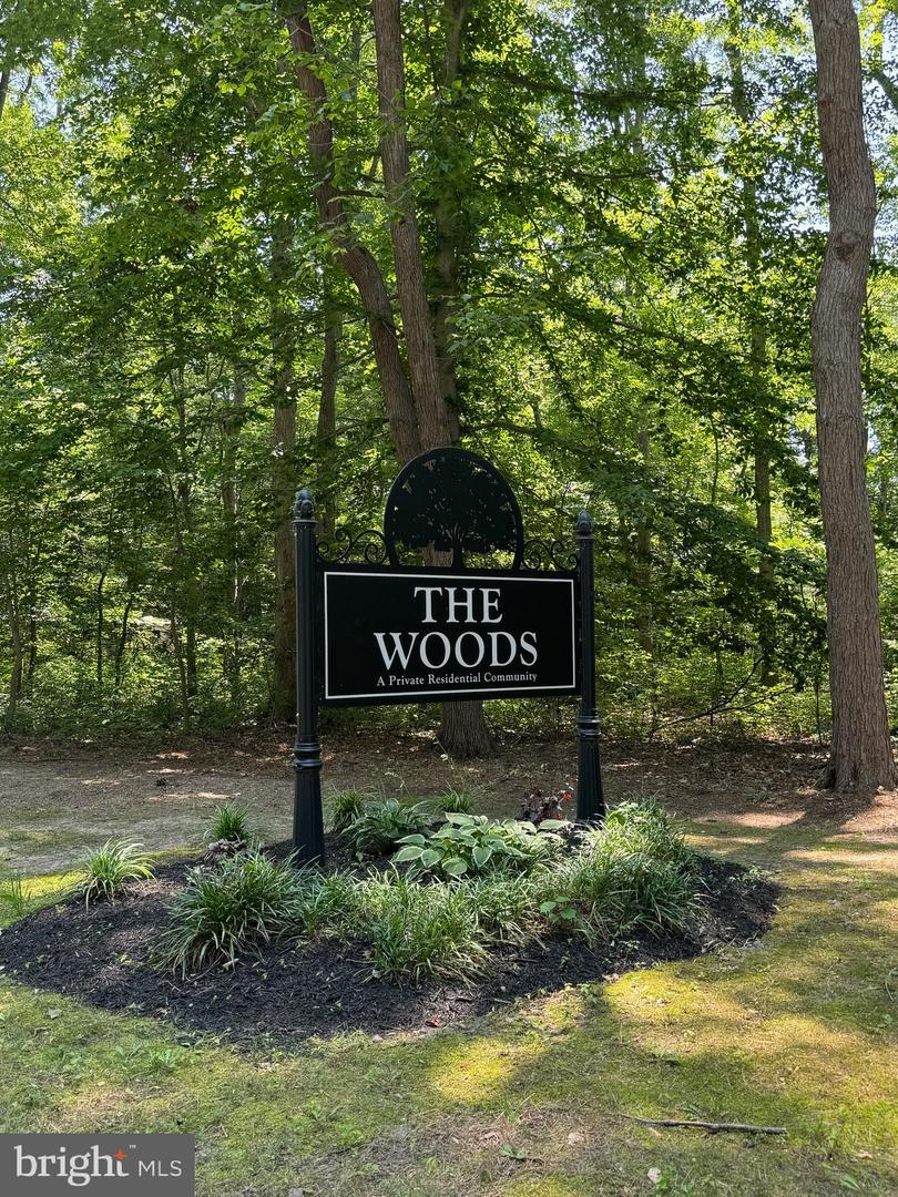 316 Timber Ln