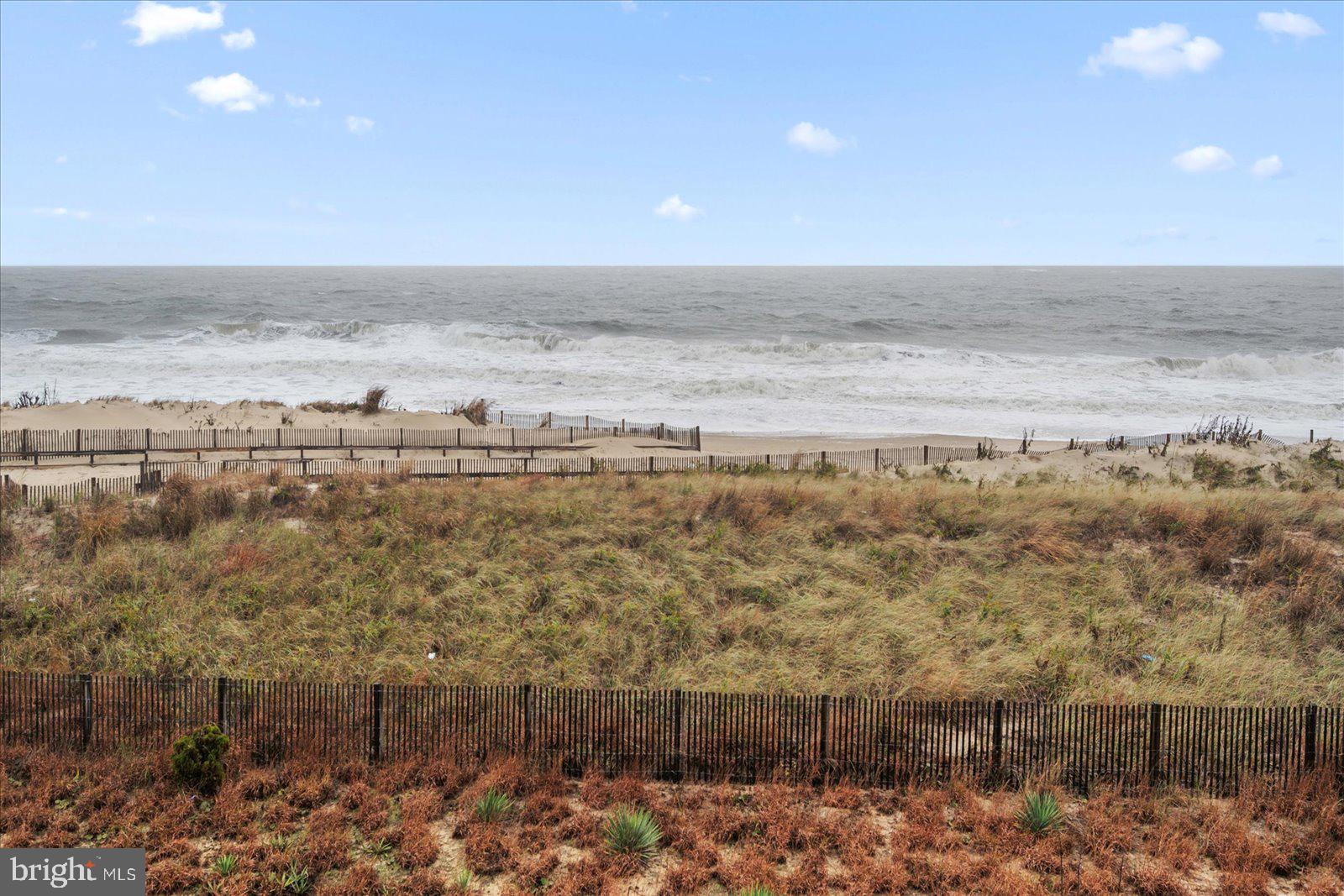 11903 WIGHT STREET 202