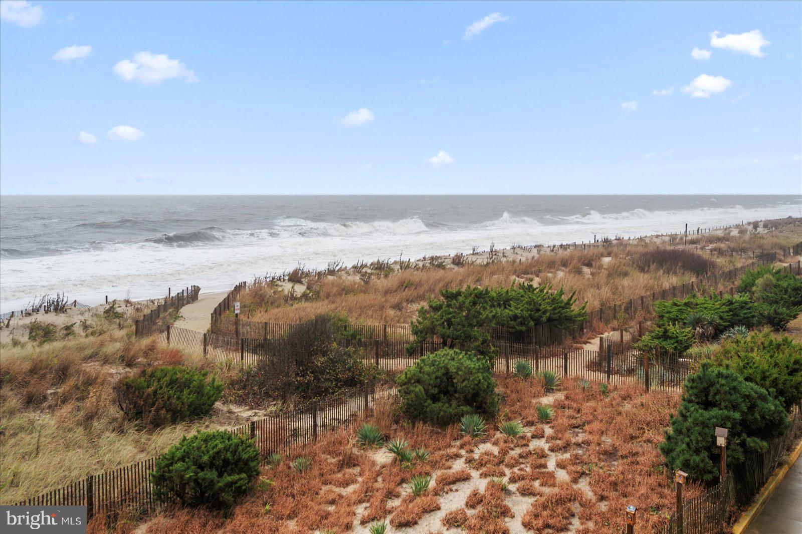 11903 WIGHT STREET 202