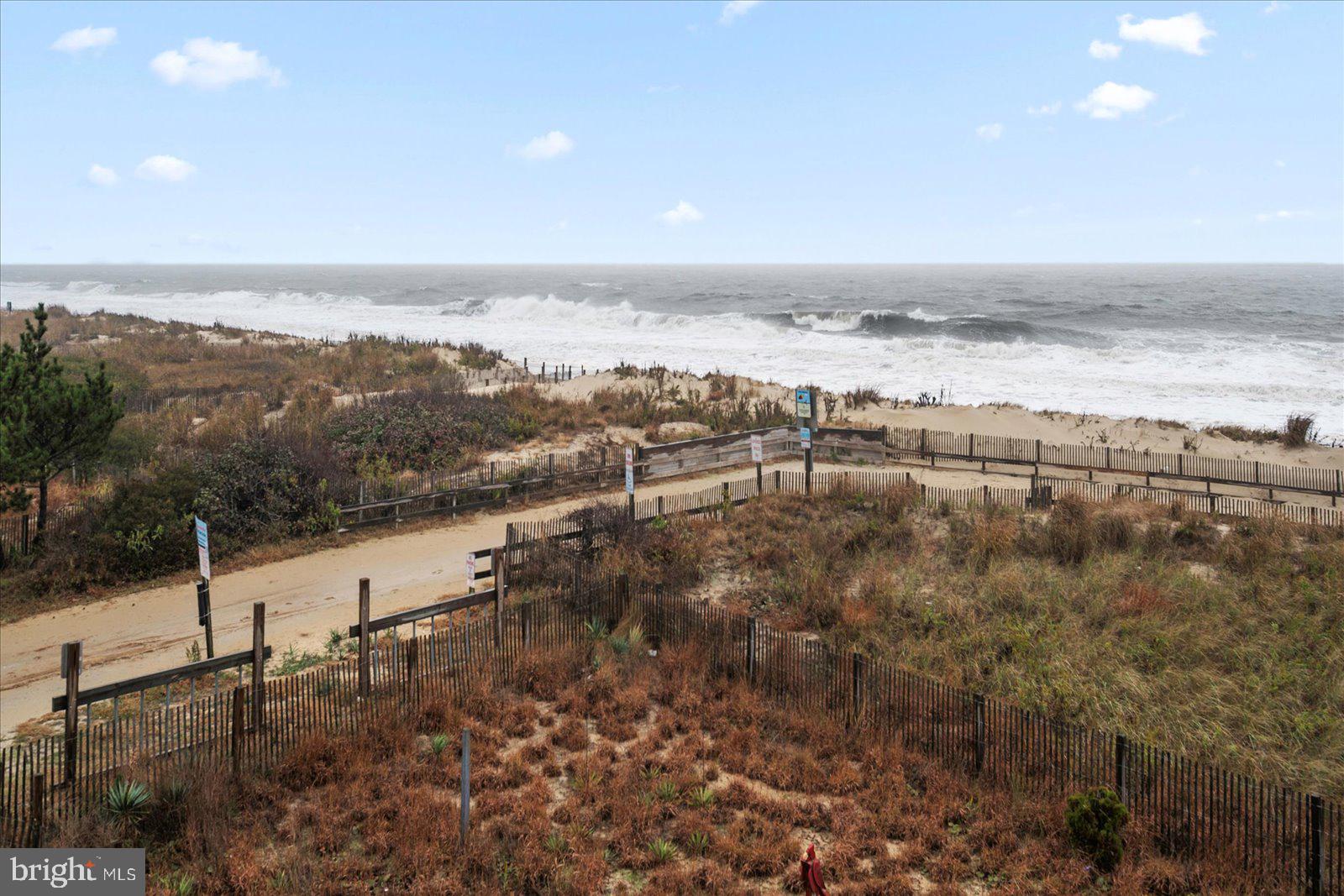 11903 WIGHT STREET 202