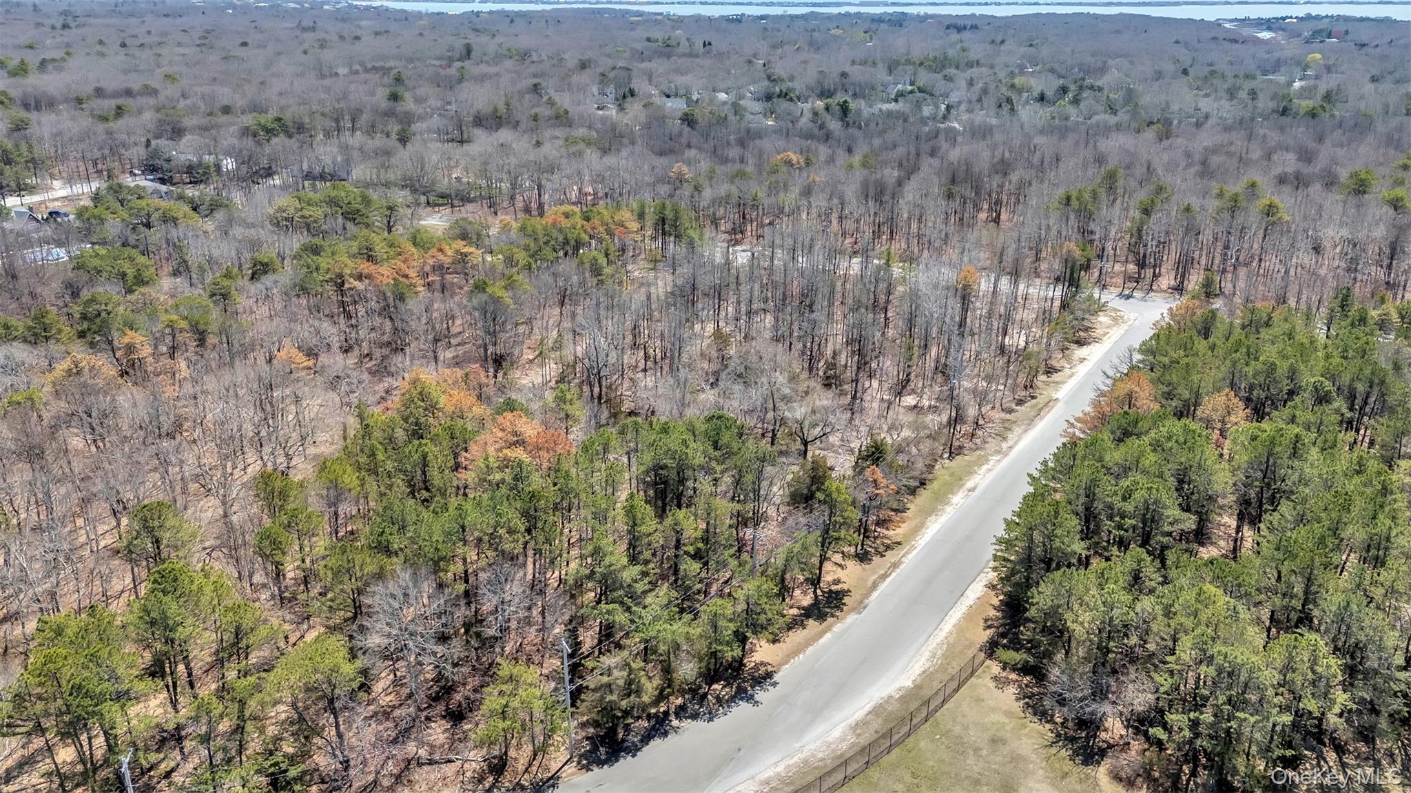 98 Old Country Road
