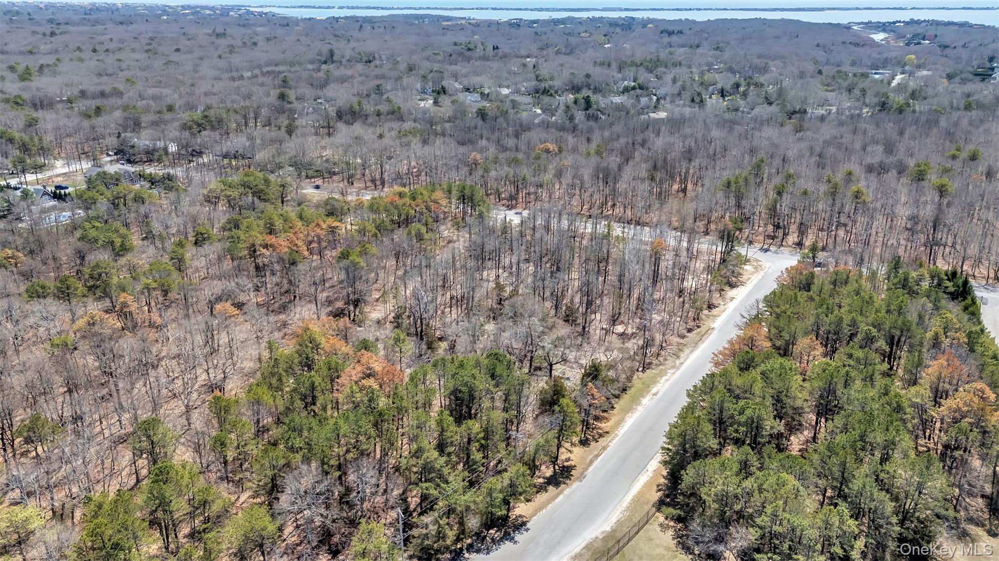 98 Old Country Road