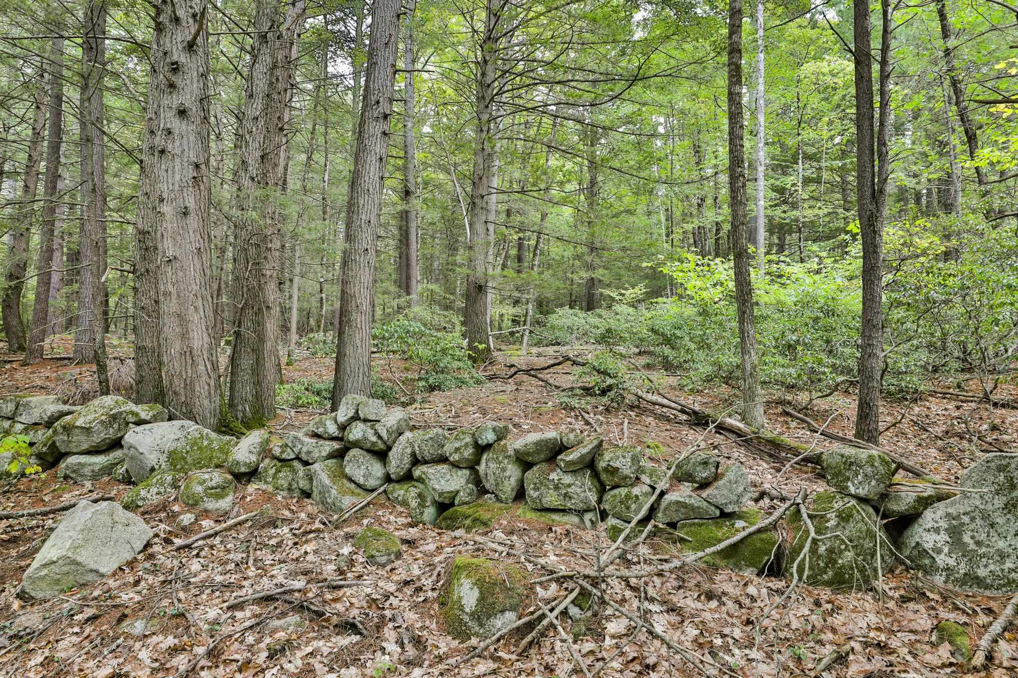 0 Rosemary Lane Unit: 2,3,4,6