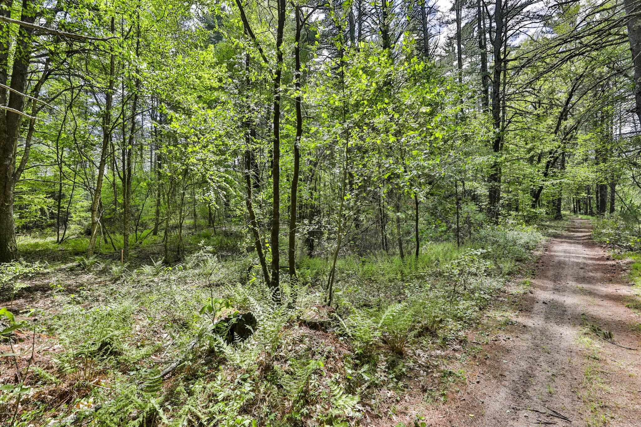 2A & 2B Camp Road