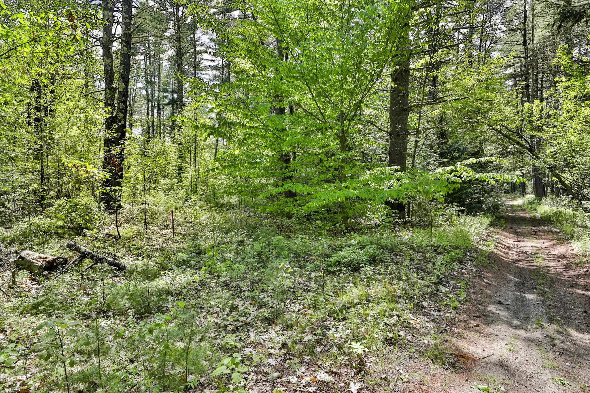 2A & 2B Camp Road