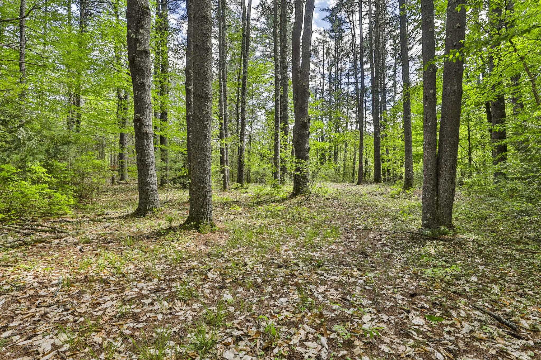 2A & 2B Camp Road
