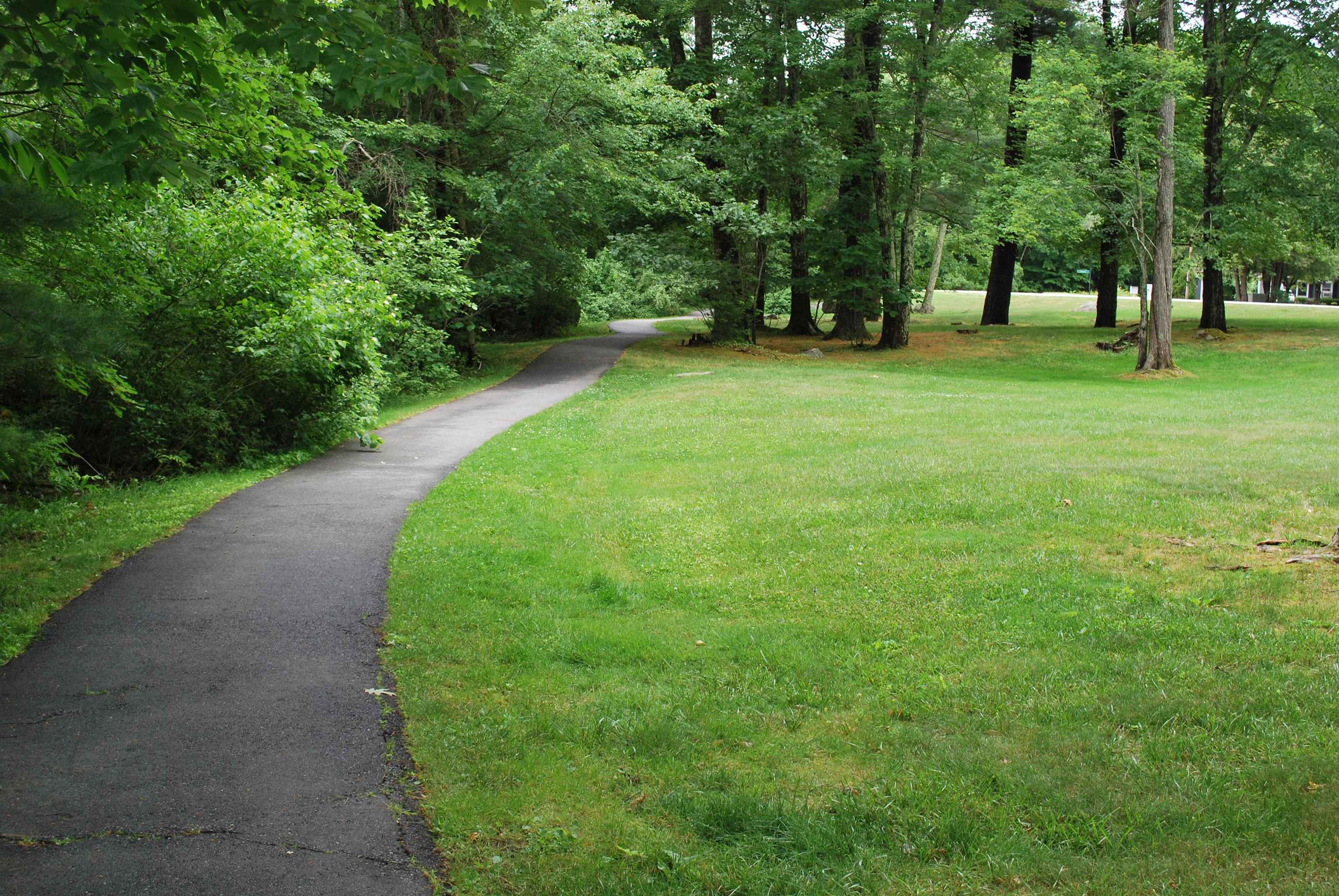 21 Blossom Lane