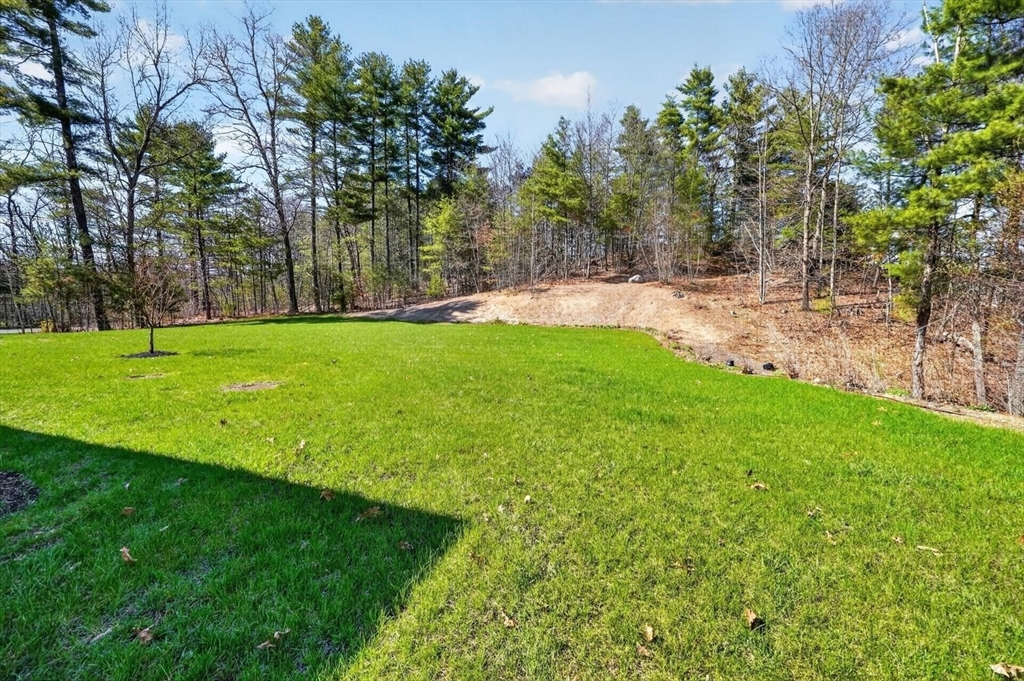338 Cow Pond Brook Rd