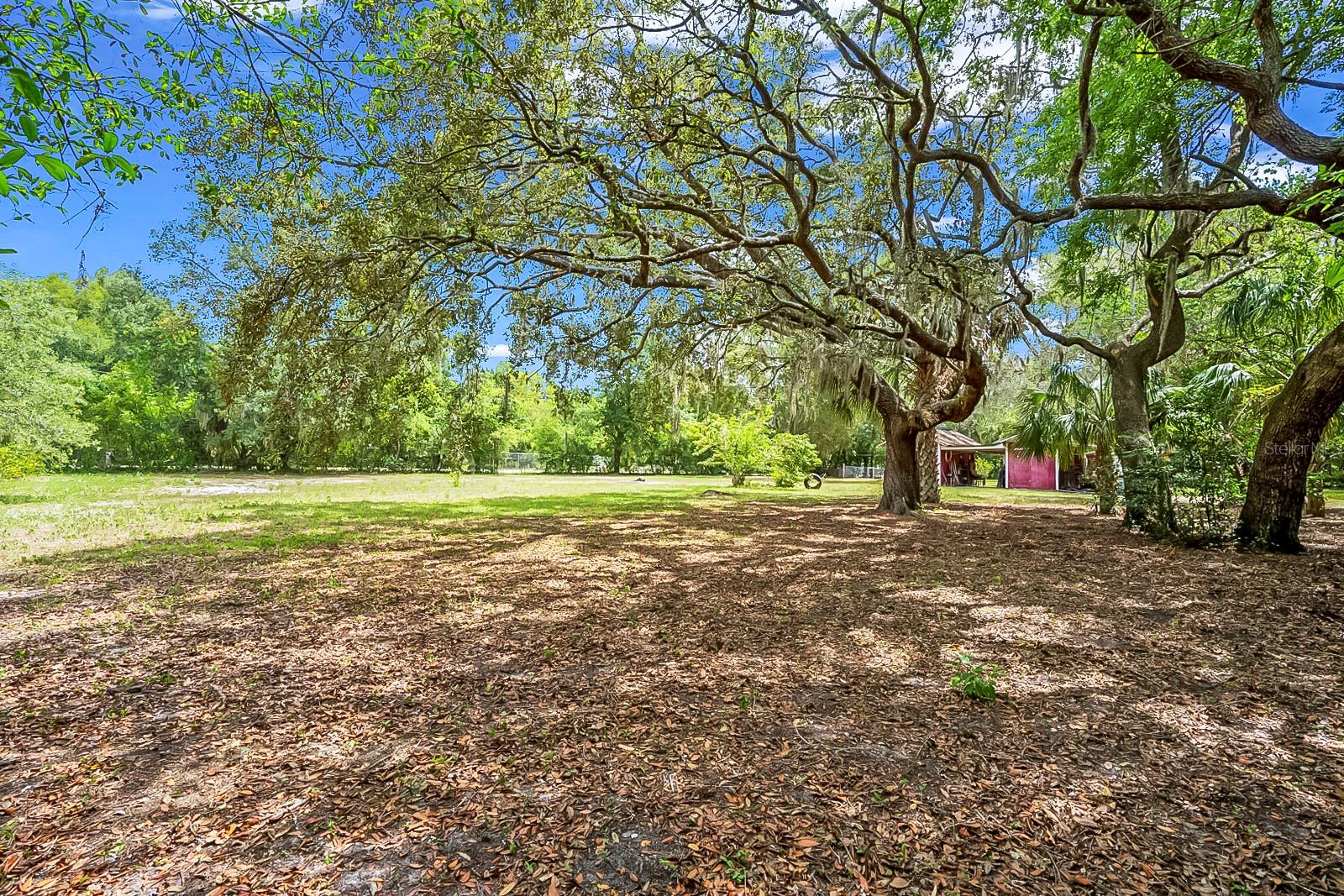 10400 OAK DRIVE